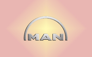 ✓ MAN 81.93501.0106 Запчасти МАН (MAN) 