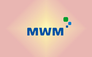 ✓ MWM 1124011 О-Кольцо 